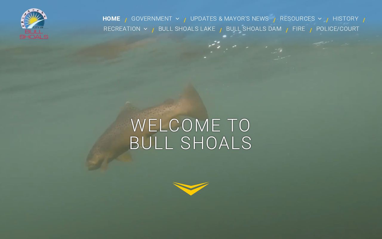 Official City of Bull Shoals website captured for police and city contact research